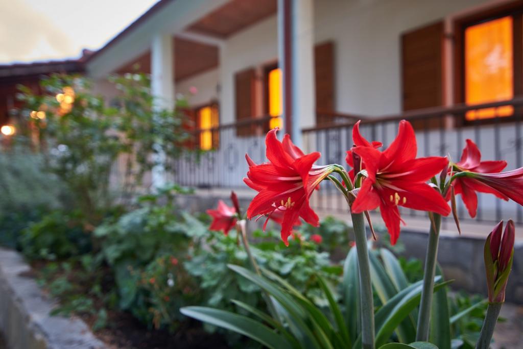 Apartamento House Rena Vourvourou Exterior foto